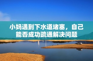 小妈遇到下水道堵塞，自己能否成功疏通解决问题