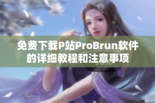 免费下载P站ProBrun软件的详细教程和注意事项