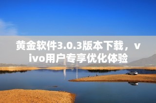 黄金软件3.0.3版本下载，vivo用户专享优化体验