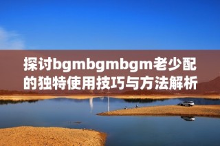 探讨bgmbgmbgm老少配的独特使用技巧与方法解析