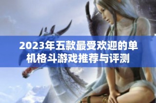 2023年五款最受欢迎的单机格斗游戏推荐与评测