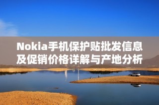 Nokia手机保护贴批发信息及促销价格详解与产地分析