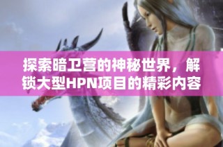 探索暗卫营的神秘世界，解锁大型HPN项目的精彩内容