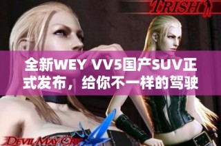 全新WEY VV5国产SUV正式发布，给你不一样的驾驶体验