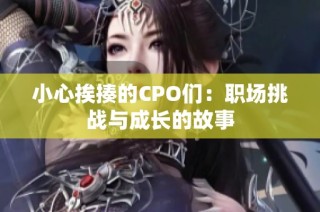 小心挨揍的CPO们：职场挑战与成长的故事