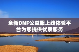 全新DNF公益服上线体验平台为您提供优质服务