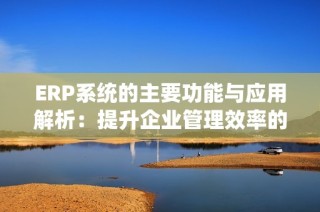 ERP系统的主要功能与应用解析：提升企业管理效率的利器