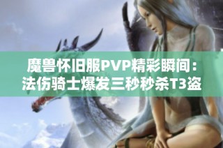 魔兽怀旧服PVP精彩瞬间：法伤骑士爆发三秒秒杀T3盗贼