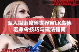 深入探索魔兽世界WLK鸟德宏命令技巧与玩法指南