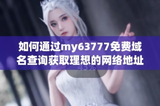 如何通过my63777免费域名查询获取理想的网络地址