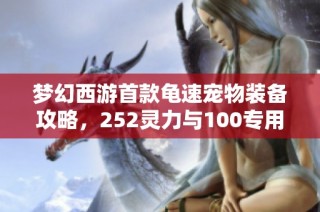 梦幻西游首款龟速宠物装备攻略，252灵力与100专用项链解析