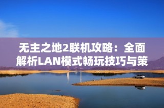 无主之地2联机攻略：全面解析LAN模式畅玩技巧与策略