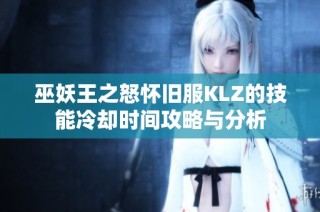 巫妖王之怒怀旧服KLZ的技能冷却时间攻略与分析