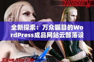 全新探索：万众瞩目的WordPress成品网站云部落设置指南