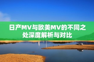 日产MV与欧美MV的不同之处深度解析与对比