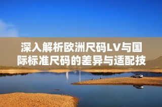 深入解析欧洲尺码LV与国际标准尺码的差异与适配技巧