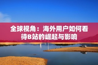 全球视角：海外用户如何看待B站的崛起与影响