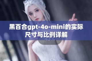 黑百合gpt-4o-mini的实际尺寸与比例详解