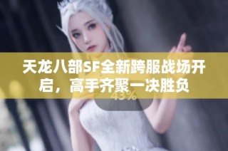 天龙八部SF全新跨服战场开启，高手齐聚一决胜负