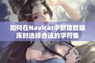 如何在Navicat中新建数据库时选择合适的字符集