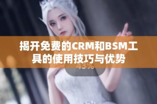 揭开免费的CRM和BSM工具的使用技巧与优势