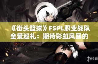 《街头篮球》FSPL职业战队全景巡礼：期待彩虹风暴的降临