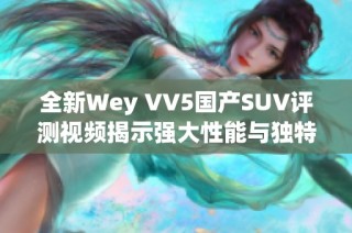 全新Wey VV5国产SUV评测视频揭示强大性能与独特设计