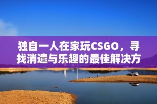 独自一人在家玩CSGO，寻找消遣与乐趣的最佳解决方案