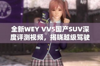 全新WEY VV5国产SUV深度评测视频，揭晓越级驾驶体验