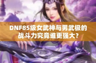 DNF85级女武神与男武极的战斗力究竟谁更强大？