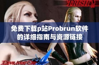 免费下载p站Probrun软件的详细指南与资源链接