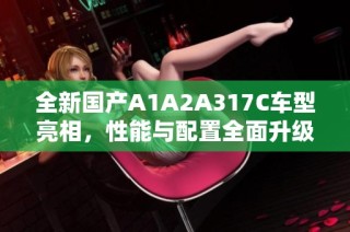 全新国产A1A2A317C车型亮相，性能与配置全面升级