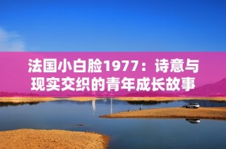 法国小白脸1977：诗意与现实交织的青年成长故事