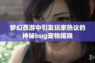 梦幻西游中引发玩家热议的神秘bug宠物揭晓