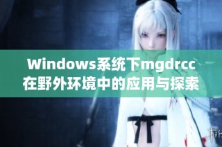 Windows系统下mgdrcc在野外环境中的应用与探索