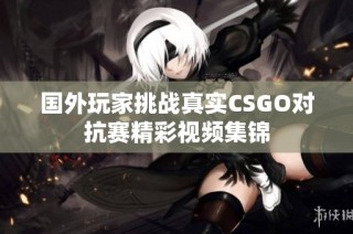 国外玩家挑战真实CSGO对抗赛精彩视频集锦