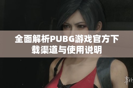 全面解析PUBG游戏官方下载渠道与使用说明