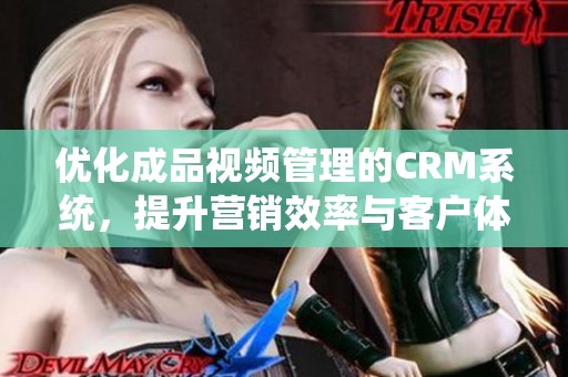 优化成品视频管理的CRM系统，提升营销效率与客户体验