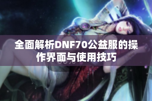 全面解析DNF70公益服的操作界面与使用技巧