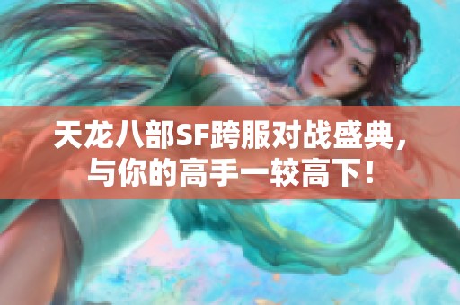 天龙八部SF跨服对战盛典，与你的高手一较高下！