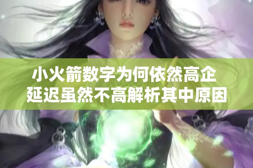 小火箭数字为何依然高企 延迟虽然不高解析其中原因