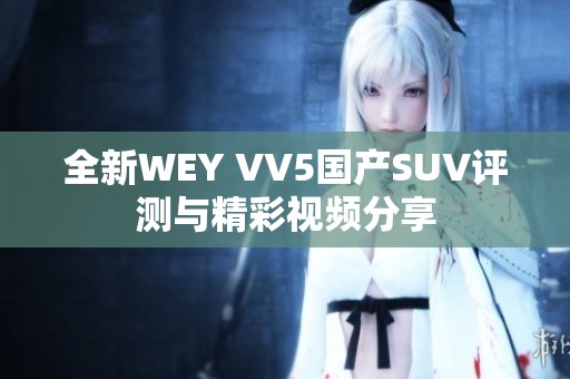 全新WEY VV5国产SUV评测与精彩视频分享