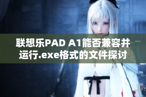 联想乐PAD A1能否兼容并运行.exe格式的文件探讨