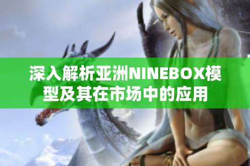 深入解析亚洲NINEBOX模型及其在市场中的应用