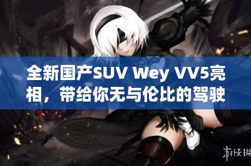 全新国产SUV Wey VV5亮相，带给你无与伦比的驾驶体验